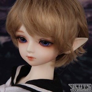 娃娃 2013 SUMMER EVENT Kid Delf Head Limited