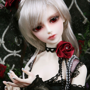 Senior Delf DAHLIA Head Limited