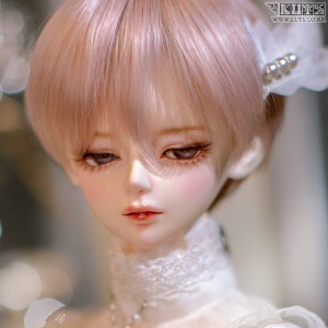 Senior Delf MUSE RASPBERRY Romance ver head Limited