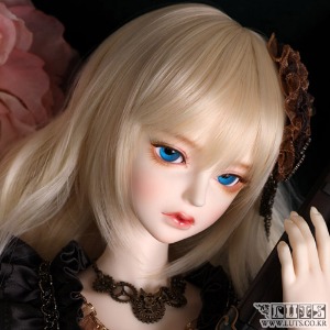 Senior Delf MARIA Head Limited