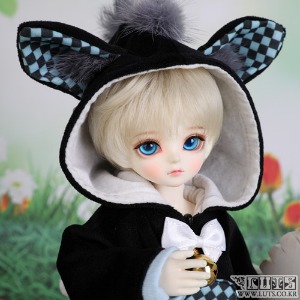 娃娃 Honey Delf Full Set No.20(T)