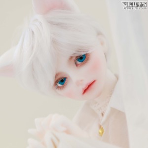 Senior Delf Muse BLISS Blossom ver. Head Limited