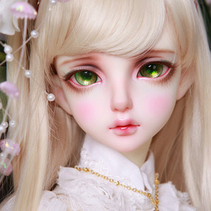 Senior Delf ANN Ver. Head Limited