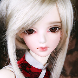 Senior Delf CAMILLA Head Limited