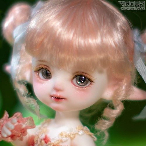 娃娃 Tiny Delf TIANA Elf ver. Head Limited