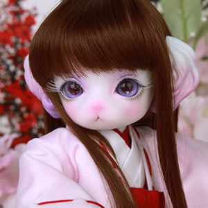 娃娃 Zuzu Delf Full Set H