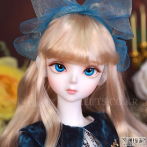 Senior Delf ANI Head Limited