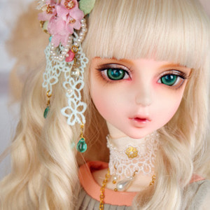 Senior Delf FLORA Head Limited