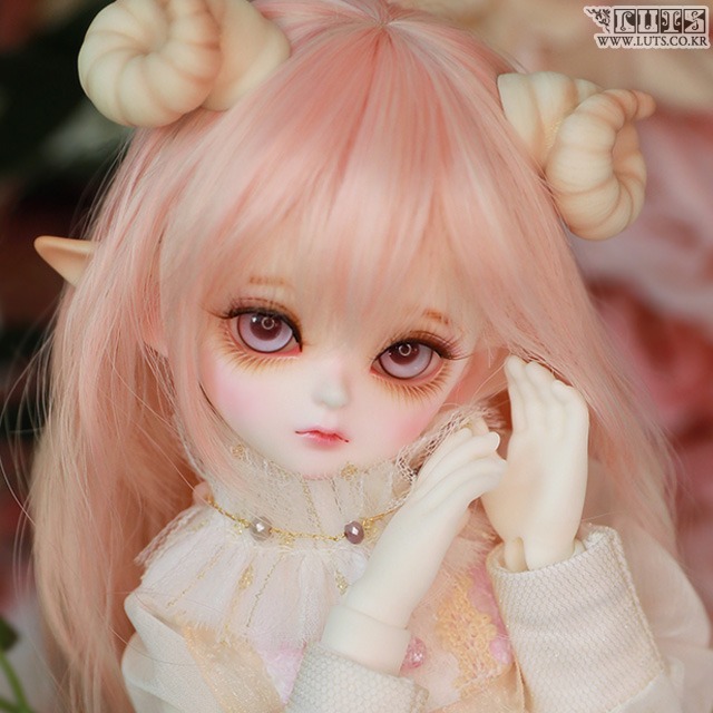 娃娃 Honey Delf ANI Elf ver. Head Limited