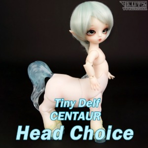 娃娃 Tiny Delf CENTAUR Limited Head Choice