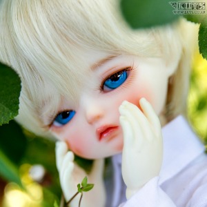 娃娃 Honey Delf MOCHI Romance ver. Head Limited