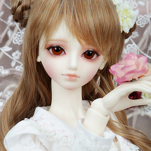 Senior Delf BLANCHET Head Limited